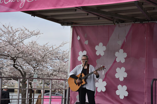 Marilyn Duncan - Cherry Blossom 2017 Marilyn Duncan - Cherry Blossom 2017